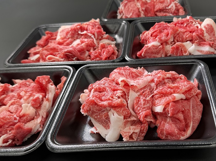 （冷凍） 【受付時期・発送時期限定】 定期便 家庭用 松阪牛 小間切れ 200g×5P 月1回 合計6回発送 b-123 ／ 瀬古食品 ふるさと納税 牛肉 松阪肉 名産 ブランド 霜ふり本舗 三重県 大紀町