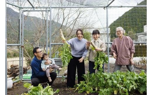 日帰り体験「民キャンプラン」　ペアチケット／地域活性化協議会　ふるさと納税　三重県　大紀町