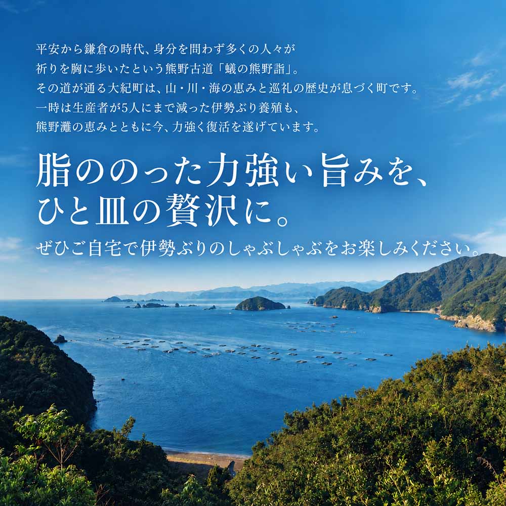 （冷凍）【２月第４週発送】伊勢ぶり しゃぶしゃぶ セット 選べる配送月 約200g ／ 2人前 3人前 鰤 ブリ ひろめ付 冷凍 年内配送 年末 お取り寄せ 海鮮 魚 ギフト 鍋 海産物 水産物 三重県 大紀町