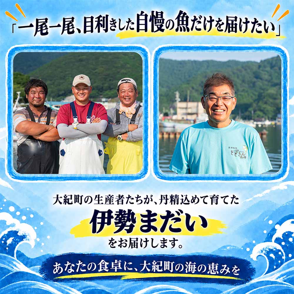 （冷凍）伊勢まだい しゃぶしゃぶ セット 約200g ／ 2人前 3人前 真鯛 鯛 タイ ひろめ付 冷凍 年内配送 年末 お取り寄せ 海鮮 魚 ギフト 鍋 海産物 水産物 三重県 大紀町