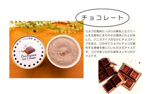 （冷凍） 大内山ミルク村 大内山アイスクリーム チョコレート ４個 バニラ ４個 セット ／ 大内山酪農アイス 大内山 乳製品 アイス デザート スイーツ 大紀ブランド 三重県 大紀町