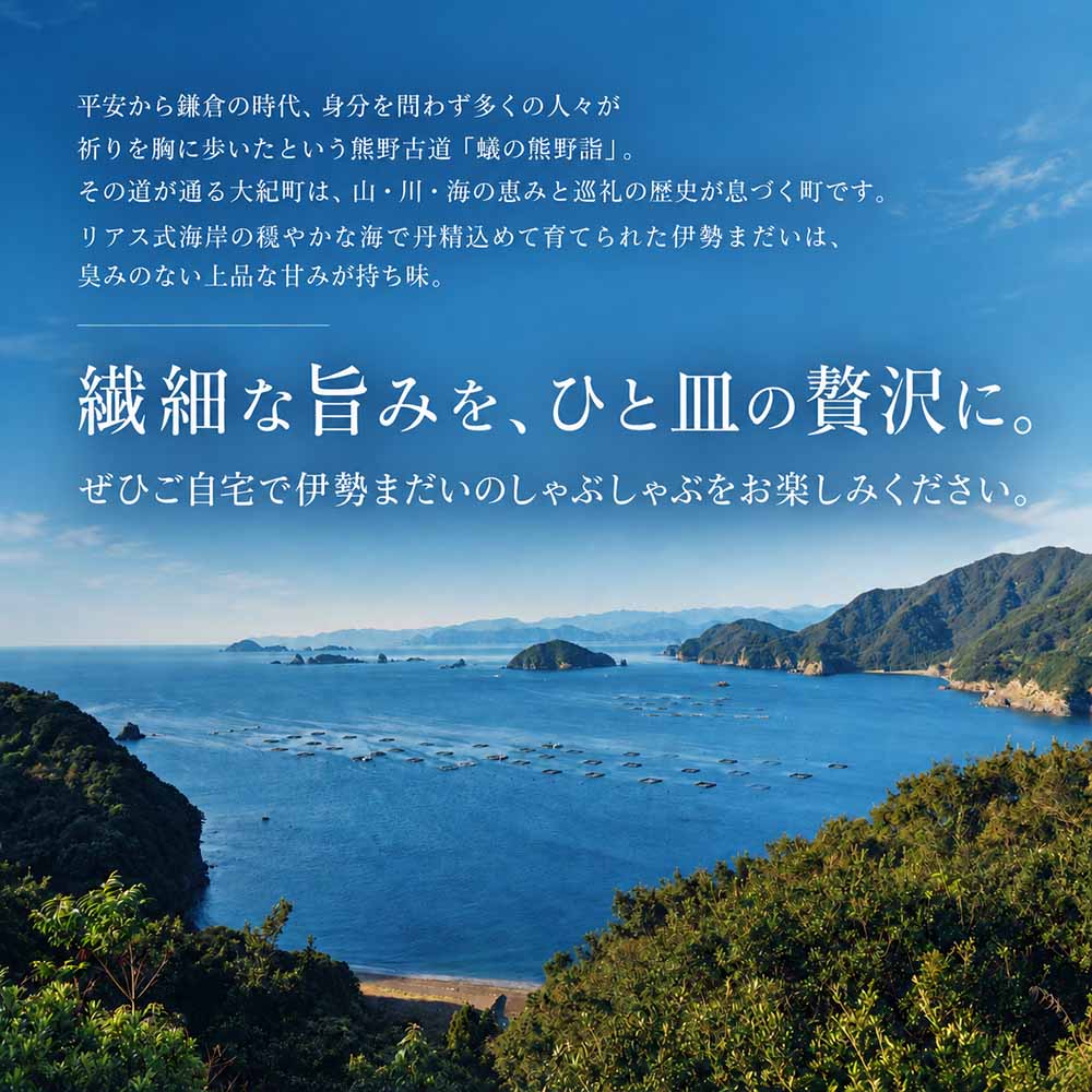 （冷凍）伊勢まだい しゃぶしゃぶ セット 約200g ／ 2人前 3人前 真鯛 鯛 タイ ひろめ付 冷凍 年内配送 年末 お取り寄せ 海鮮 魚 ギフト 鍋 海産物 水産物 三重県 大紀町