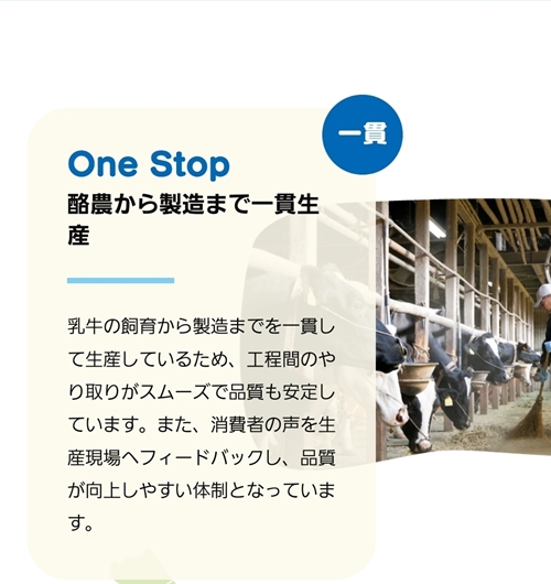 （冷蔵） 大内山牛乳 やわらかプリン バターのセット ／ 松田商店 ふるさと納税 三重県 大紀町