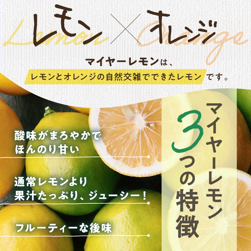 たかみ農園マイヤーレモンセット【希少 国産 レモン マイヤーレモン ドライフルーツ 黒にんにく レモン果汁 セット 詰め合わせ 三重県 御浜町】