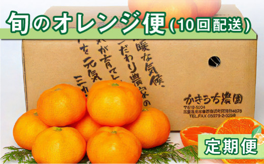 旬のオレンジ便（全10回） 果物 フルーツ みかん オレンジ 定期便 定期 10回 