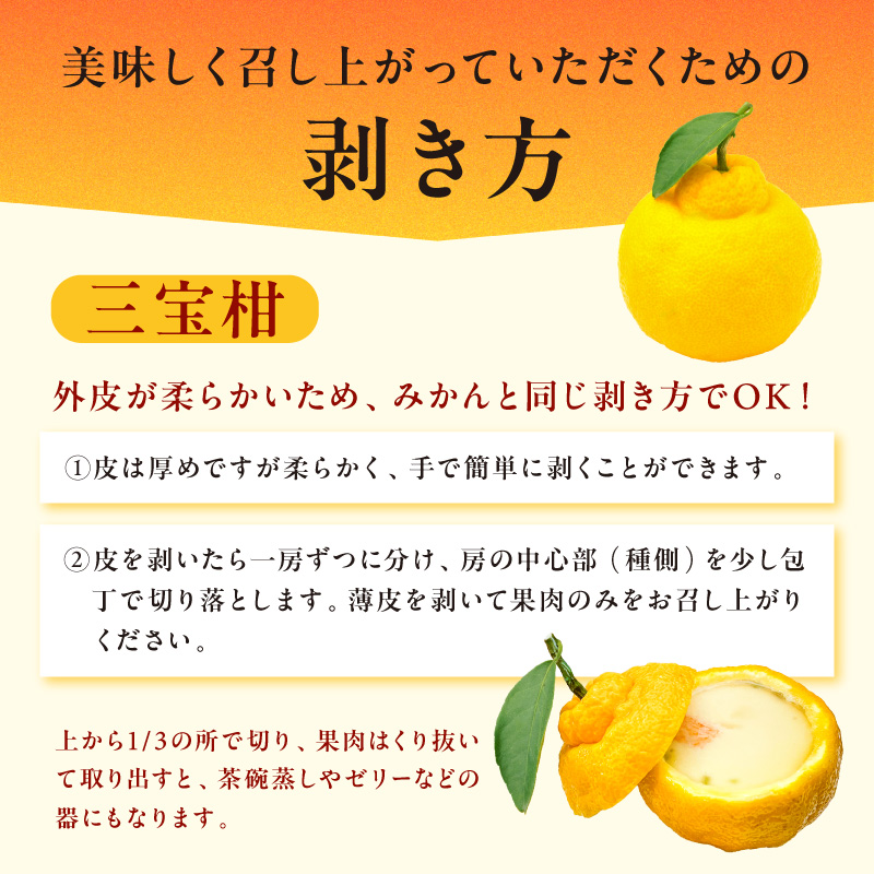 【2026年発送 先行予約品】2月の御浜柑橘　みかん詰め合わせ5キロ【果物 フルーツ みかん 市木オレンジ みえのスマイル 早生三宝柑 三宝柑 詰め合わせ 5kg 冬 三重県 御浜町】