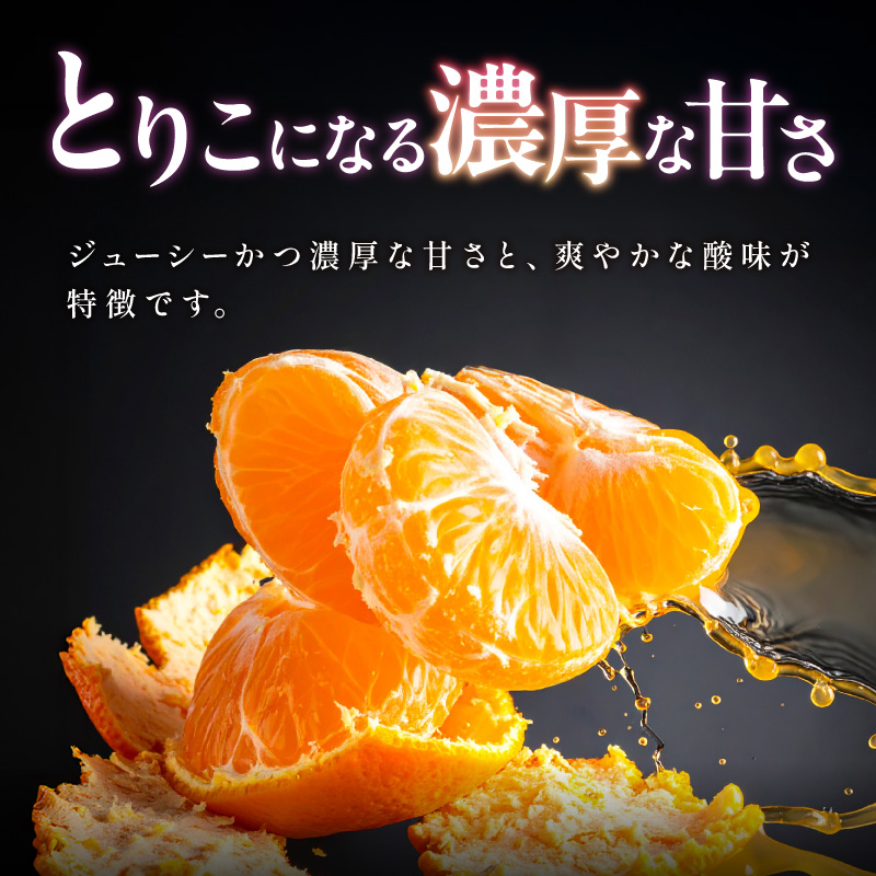 【2027年発送先行予約品】弾ける旨さ！ミカファームのはるみ5キロ【期間限定 数量限定 果物 フルーツ みかん はるみ デザート 5kg 三重県 御浜町】