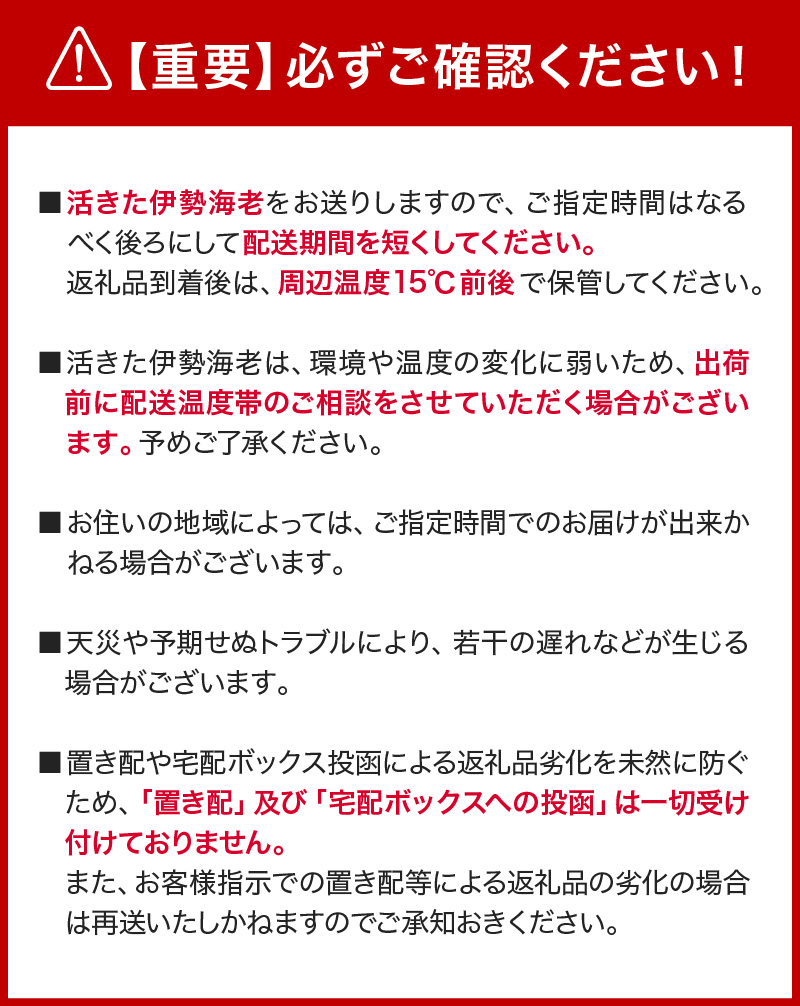 ［日付指定できる！］文恵丸水産の熊野灘産活伊勢海老　御浜コース 1〜3尾 約500g前後【魚介 伊勢えび 伊勢海老 海老 えび 活き 三重県 御浜町】