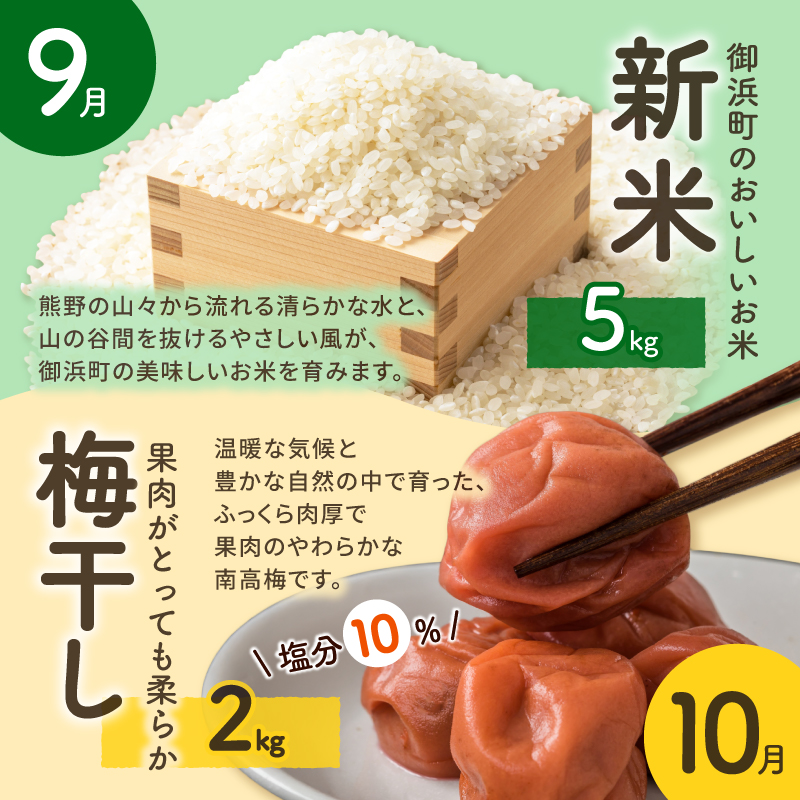 丸安青果の御浜町産特産品（全10回）【定期 定期便 10回 果物 フルーツ みかん 米 お米 梅干し 梅干 三重県 御浜町】