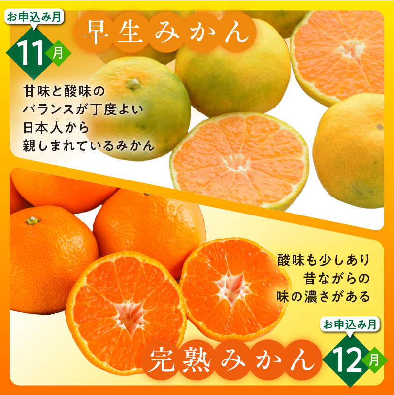 かきうち農園のみかんとジュースの詰め合わせ【果物 フルーツ みかん オレンジ デザート 旬 みかんジュース オレンジジュース セット 詰め合わせ 三重県 御浜町】
