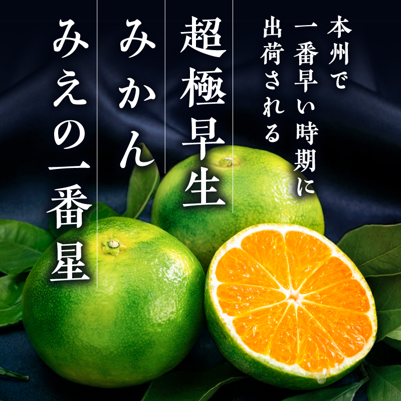 JAみえの一番星（味一号）5キロ【期間限定 数量限定 果物 フルーツ みかん 味一号 みえの一番星 超極早生 5kg 三重県 御浜町】