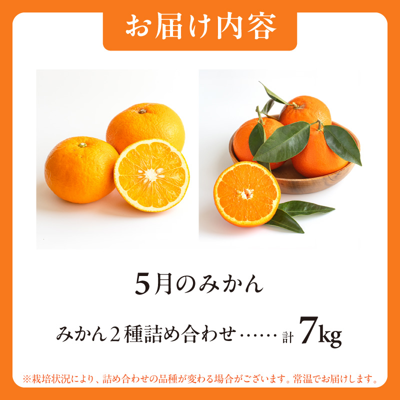5月の御浜柑橘 みかん2種詰め合わせ 7キロ【先行予約 期間限定 果物 フルーツ みかん セミノール 甘夏 詰め合わせ セット 7kg 三重県 御浜町】