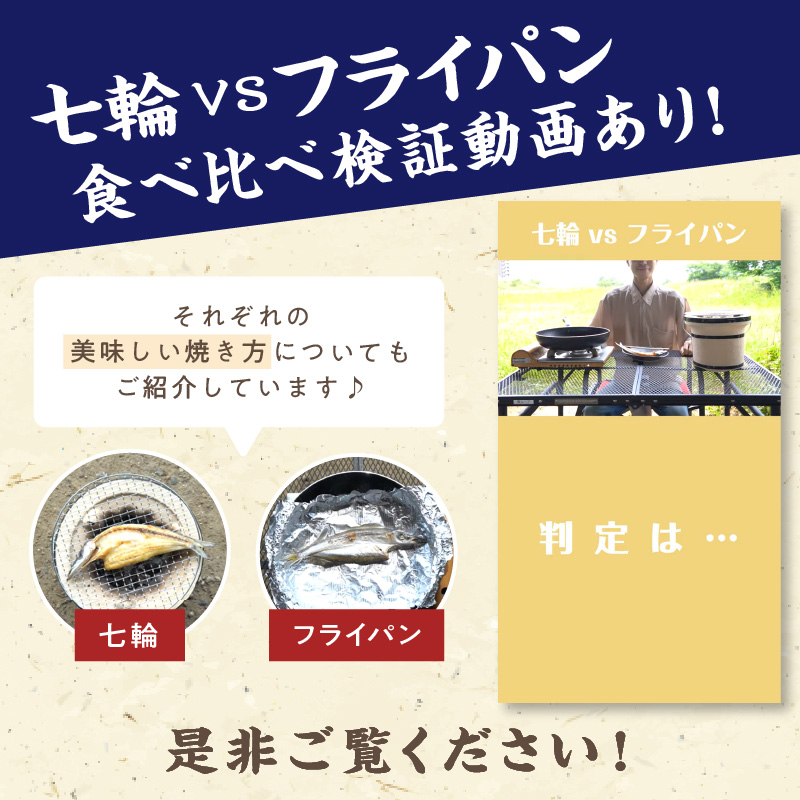 マルミツのおまかせ干物6点【魚 魚介類 干物 セット 詰め合わせ 着色料不使用 三重県 御浜町】
