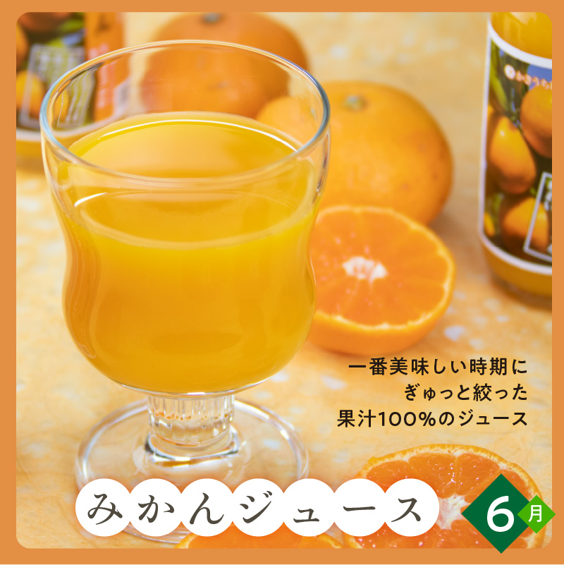 かきうち農園のオレンジ便（全10回）【果物 フルーツ みかん オレンジ デザート みかんジュース オレンジジュース 定期便 定期 10回 三重県 御浜町】