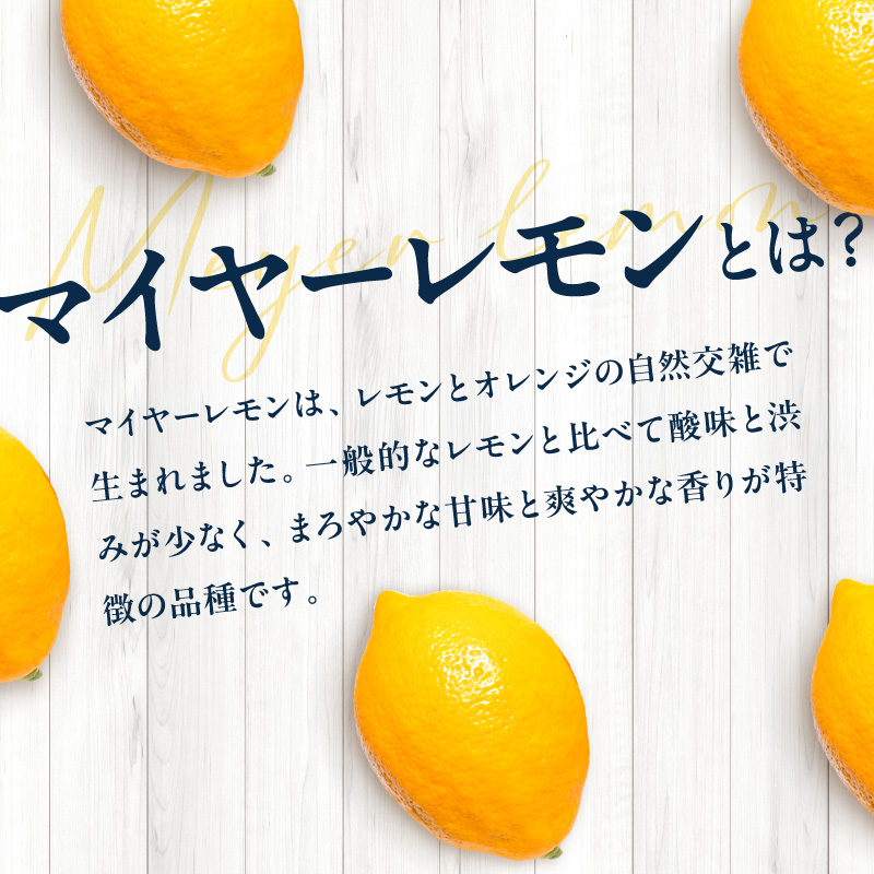 Yアルコの寶「CRAFT」伊勢路マイヤーレモン酎ハイ【お酒 酒 チューハイ 酎ハイ レモンチューハイ レモン酎ハイ マイヤーレモン クラフトチューハイ 三重県 御浜町】