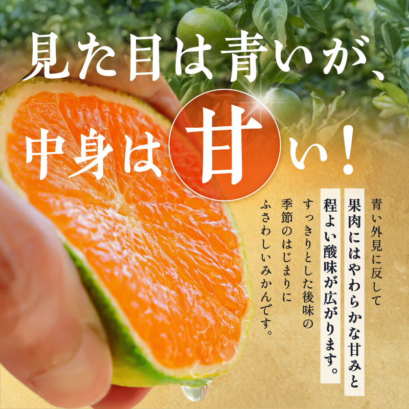 JAみえの一番星（味一号）5キロ【期間限定 数量限定 果物 フルーツ みかん 味一号 みえの一番星 超極早生 5kg 三重県 御浜町】