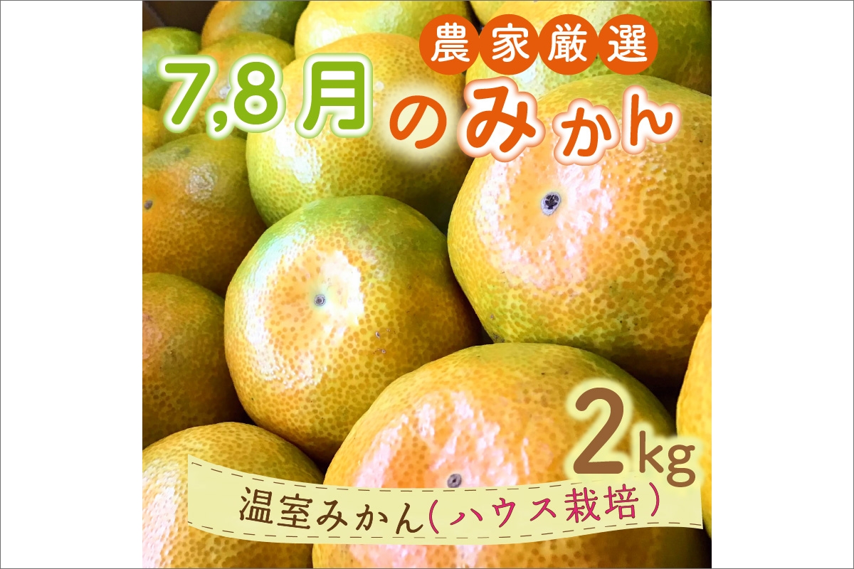 7月8月の御浜柑橘　温室みかん2キロ