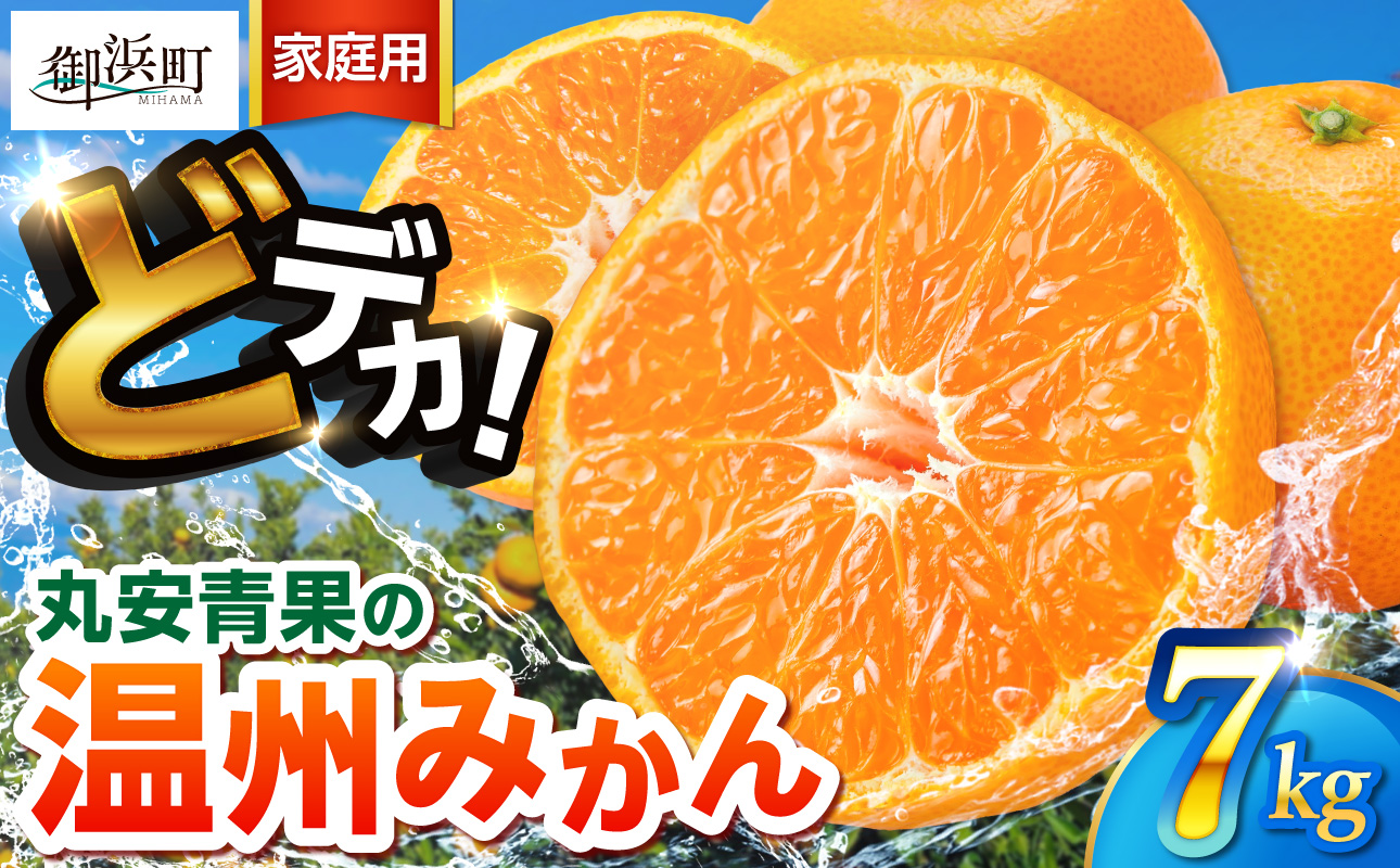 丸安青果のどデカイ温州みかん7キロ（家庭用） 【果物 フルーツ 訳あり 家庭用 蜜柑 みかん 温州みかん 7kg 三重県 御浜町】
