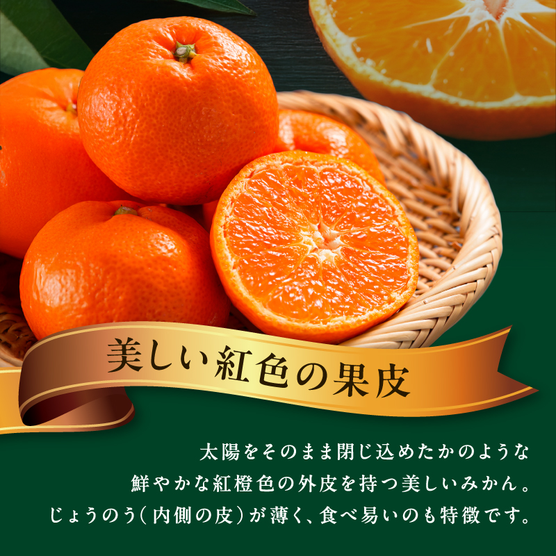 辻本農園の山下紅みかん大玉（家庭用）10キロ【期間限定 数量限定 キズあり まぼろし 幻 高級 甘い 果物 ミカン フルーツ 柑橘 家庭用 三重県 御浜町】