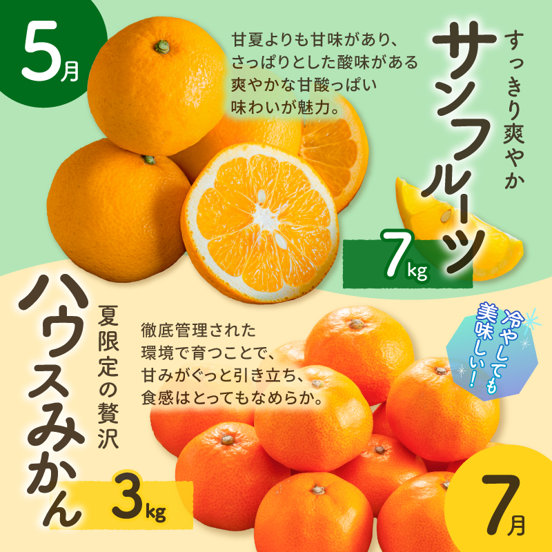 丸安青果の御浜町産特産品（全10回）【定期 定期便 10回 果物 フルーツ みかん 米 お米 梅干し 梅干 三重県 御浜町】