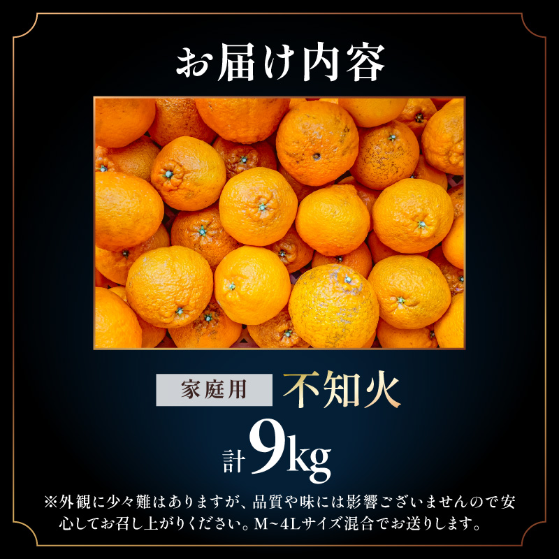 【2027年発送先行予約品】濃密な甘酸っぱさ！ミカファームの不知火9キロ(家庭用) 【数量限定 果物 フルーツ みかん 不知火 しらぬい デザート 9kg 家庭用 三重県 御浜町】
