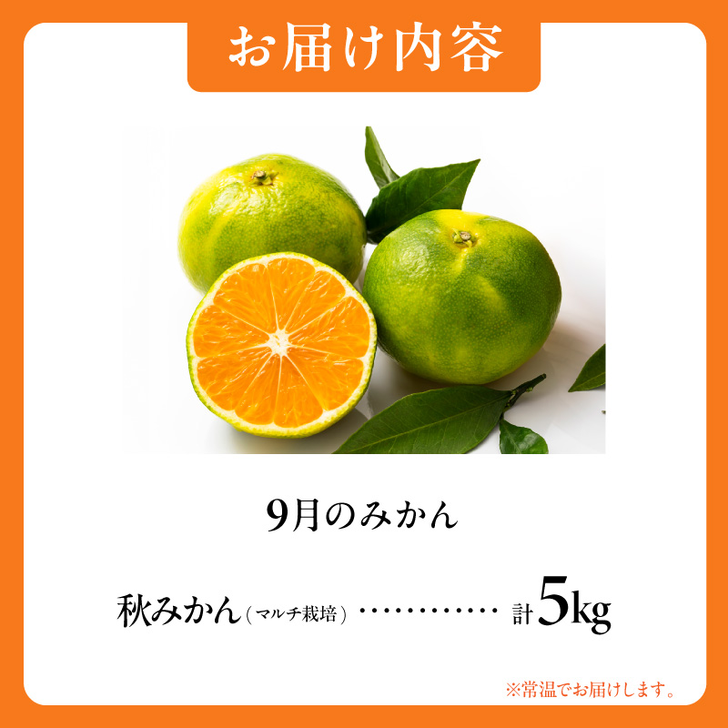 9月の御浜柑橘 秋みかん 5キロ【先行予約 期間限定 果物 フルーツ みかん 極早生 極早生みかん 5kg マルチ栽培 三重県 御浜町】