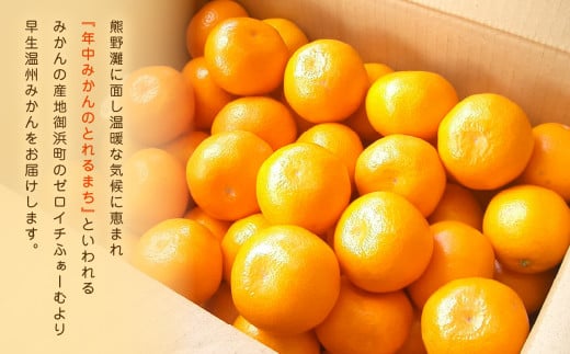 ゼロイチふぁーむのみかん約5キロ【御浜町産 みかん オレンジ デザート 早生 温州 三重県】