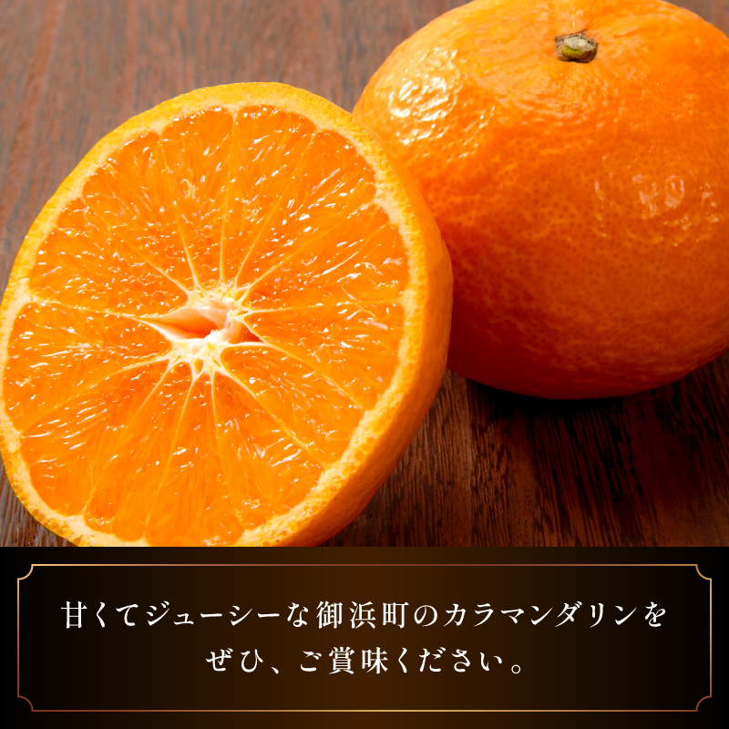 ミカファームのカラマンダリン5キロ（家庭用）【数量限定 果物 フルーツ みかん オレンジ カラマンダリン 家庭用 デザート 5kg 三重県 御浜町】