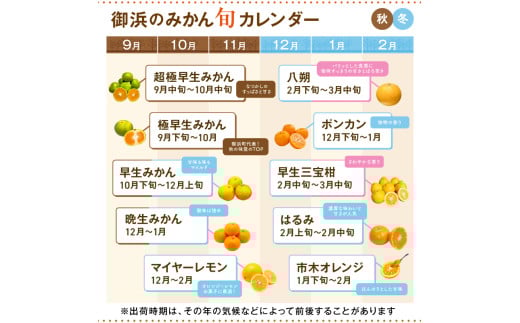 ゼロイチふぁーむのみかん約5キロ【御浜町産 みかん オレンジ デザート 早生 温州 三重県】