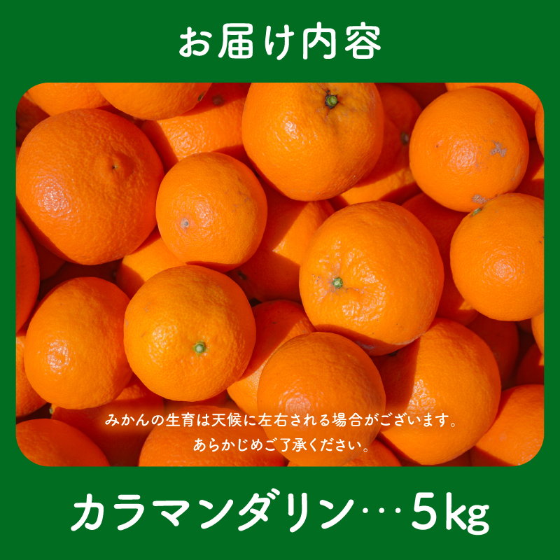 【2027年発送先行予約品】JAのカラマンダリン5キロ【先行予約 数量限定 果物 フルーツ みかん カラマンダリン 5kg 三重県 御浜町】