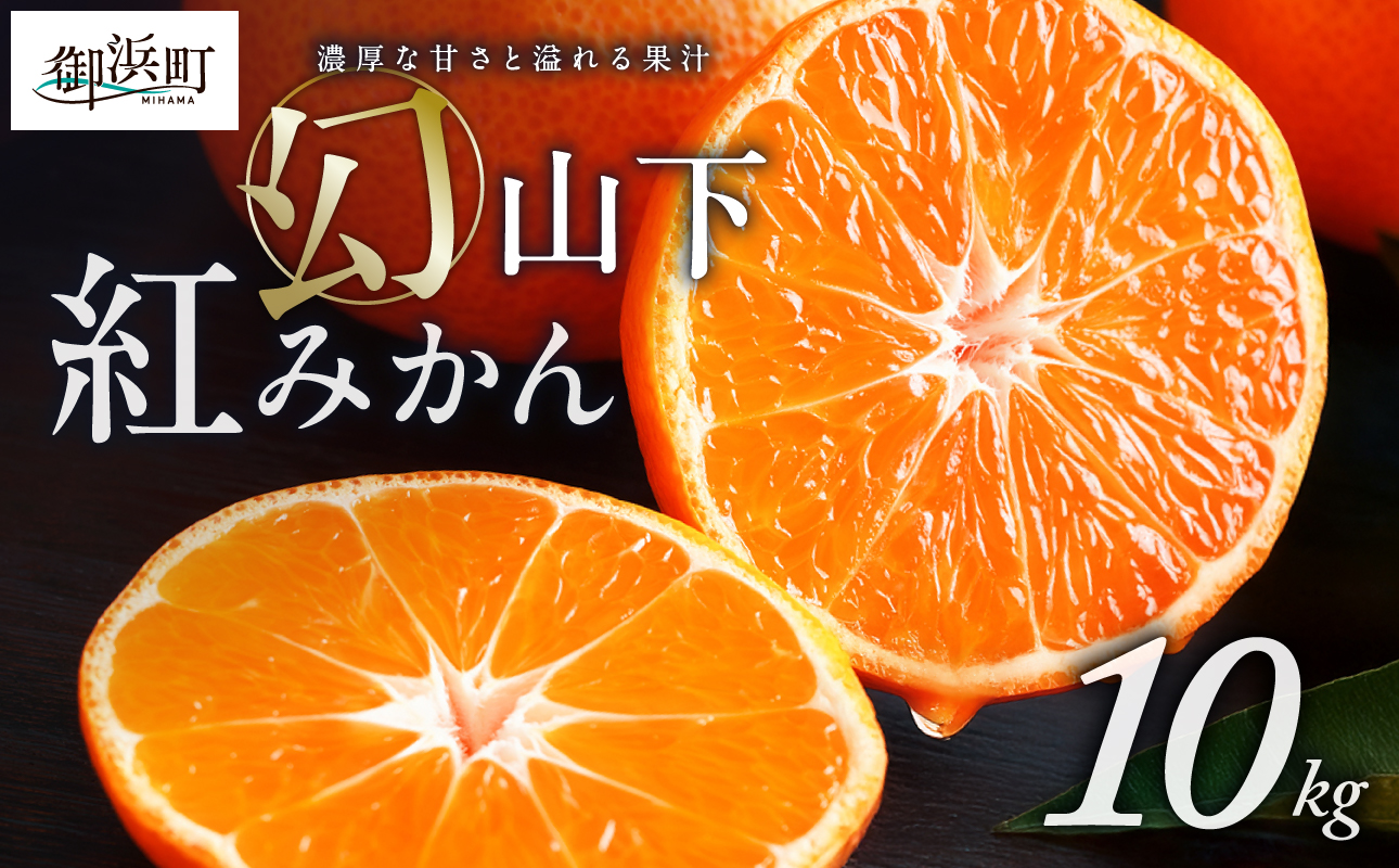 辻本農園の山下紅みかん10キロ【期間限定 数量限定 まぼろし 幻 高級 甘い 果物 ミカン フルーツ 柑橘 三重県 御浜町】