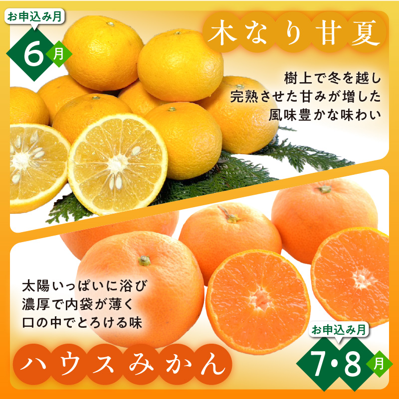 かきうち農園のみかんとジュースの詰め合わせ【果物 フルーツ みかん オレンジ デザート 旬 みかんジュース オレンジジュース セット 詰め合わせ 三重県 御浜町】