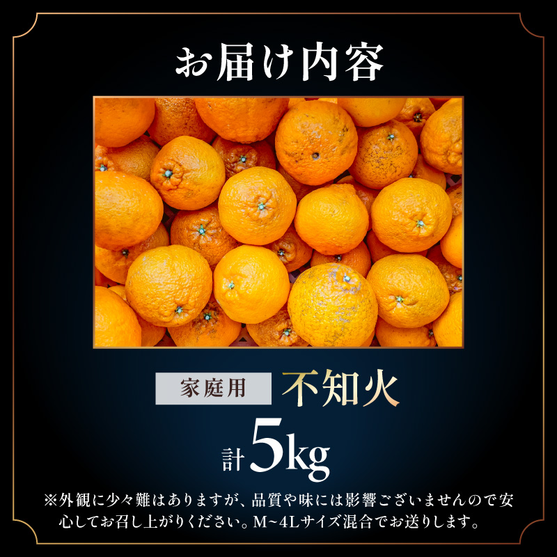 【2027年発送先行予約品】濃密な甘酸っぱさ！ミカファームの不知火5キロ(家庭用）【数量限定 果物 フルーツ みかん 不知火 しらぬい デザート 5kg 家庭用 三重県 御浜町】