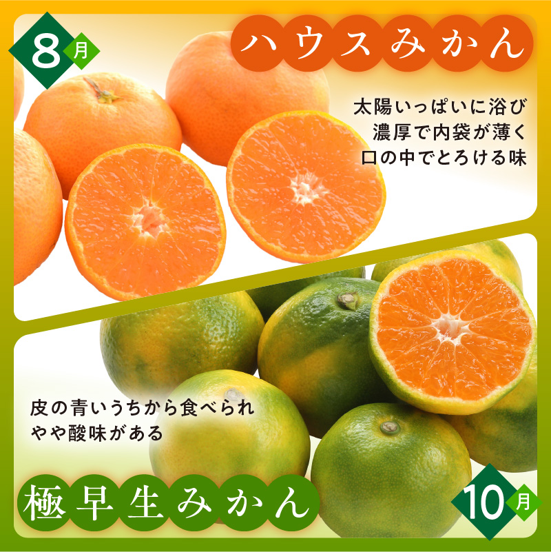 かきうち農園のオレンジ便（全10回）【果物 フルーツ みかん オレンジ デザート みかんジュース オレンジジュース 定期便 定期 10回 三重県 御浜町】