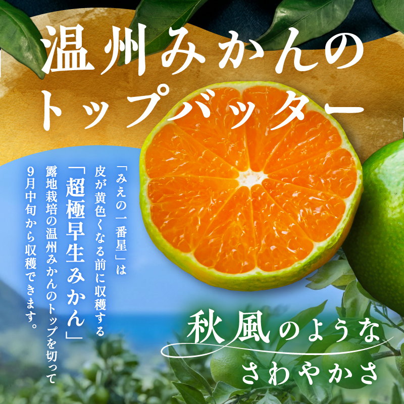 JAみえの一番星（味一号）5キロ【期間限定 数量限定 果物 フルーツ みかん 味一号 みえの一番星 超極早生 5kg 三重県 御浜町】