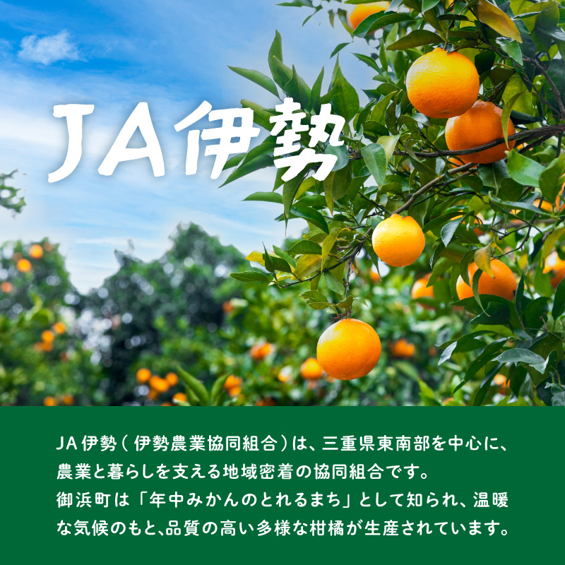 JAの南紀みかん極早生5キロ【期間限定 数量限定 果物 フルーツ みかん デザート 極早生 温州 5kg 三重県 御浜町】