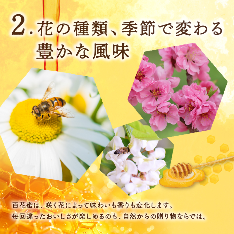 うい養蜂の野のみつ2キロ【蜂蜜 はちみつ 国産 三重県産 純粋はちみつ 百花蜜 人気 ハチミツ うい養蜂 ヨーグルト トースト 三重県 御浜町 免疫力】