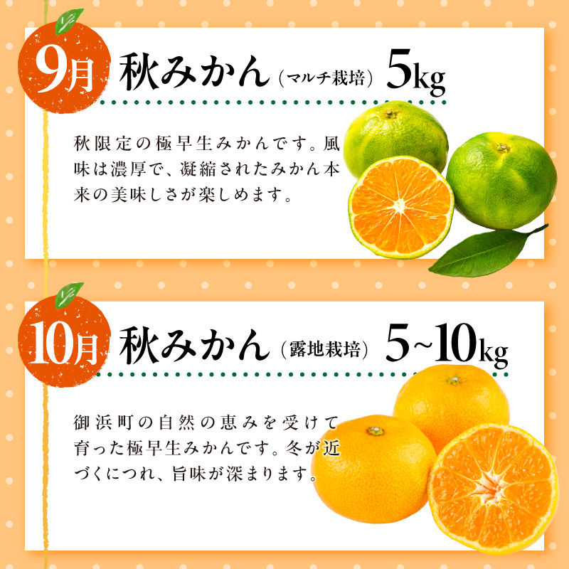 御浜柑橘の旬みかん又はジュースを毎月発送(全5回)【果物 フルーツ みかん 定期便 定期 5回 オレンジ オレンジジュース みかんジュース 光センサー 三重県 御浜町】