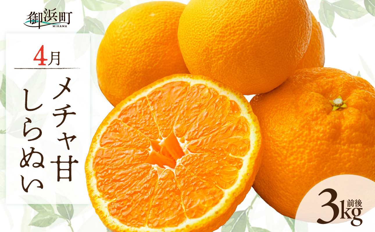 4月の御浜柑橘 メチャ甘しらぬい 3キロ前後【期間限定 果物 フルーツ みかん 不知火 しらぬい 3kg前後 三重県 御浜町】