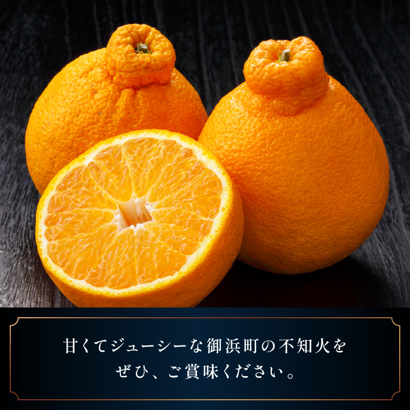 濃密な甘酸っぱさ！ミカファームの不知火4.5キロ(贈答用)【数量限定 果物 フルーツ みかん 不知火 しらぬい デザート 4.5kg 贈答用 贈り物 三重県 御浜町】