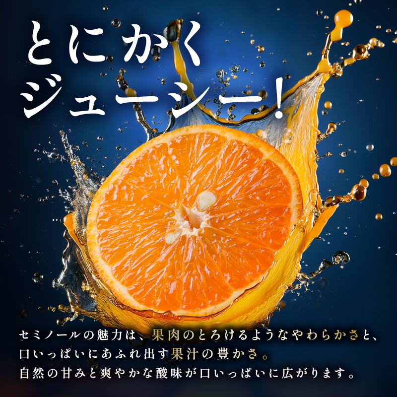 【2027年発送先行予約品】ジューシーさダントツ！ミカファームのセミノール9.5キロ(家庭用)【数量限定 果物 フルーツ みかん セミノール デザート 9.5kg 家庭用 三重県 御浜町】