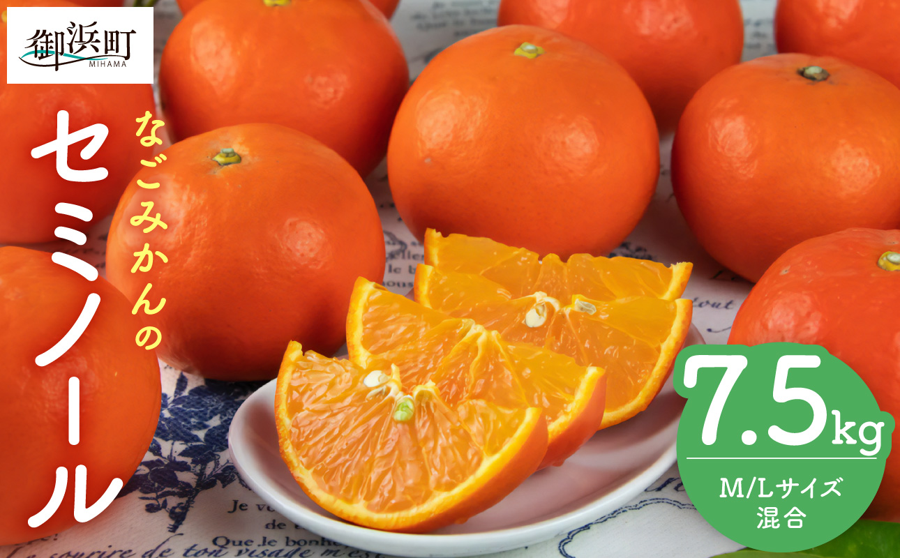 【2027年発送先行予約品】なごみかんのセミノール7.5キロ【数量限定 配送3月下旬から 果物 フルーツ みかん セミノール デザート 7.5kg 三重県 御浜町】