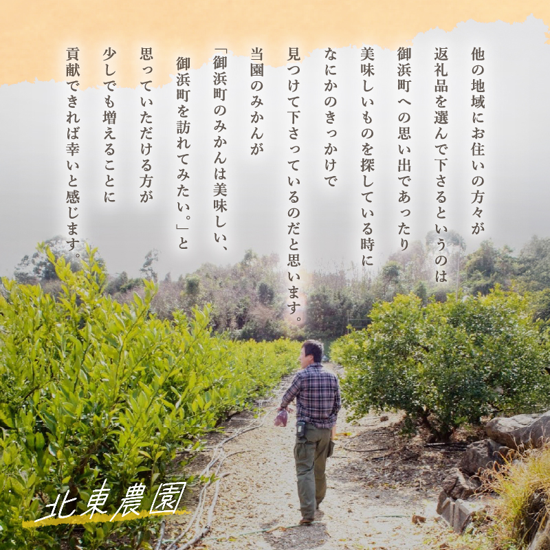 北東農園の温州みかん5キロ【数量限定 期間限定 果物 フルーツ みかん 温州みかん 5kg 三重県 御浜町】