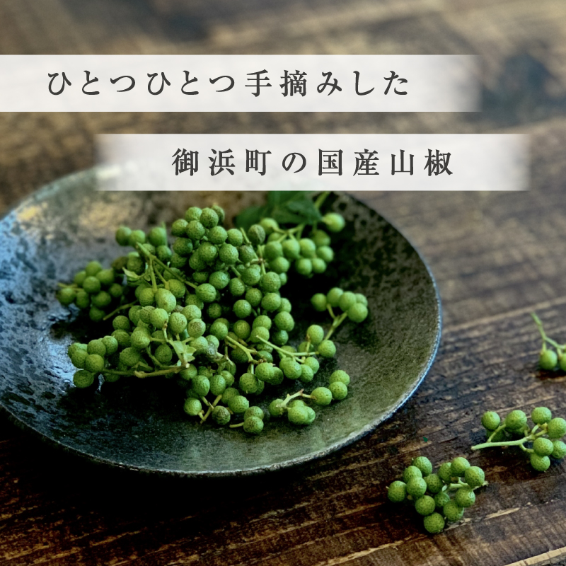 【国産】文恵丸水産 実山椒 500g 【 熊野山椒 実山椒 冷凍 調味料 香辛料 文恵丸水産 三重県 御浜町 】