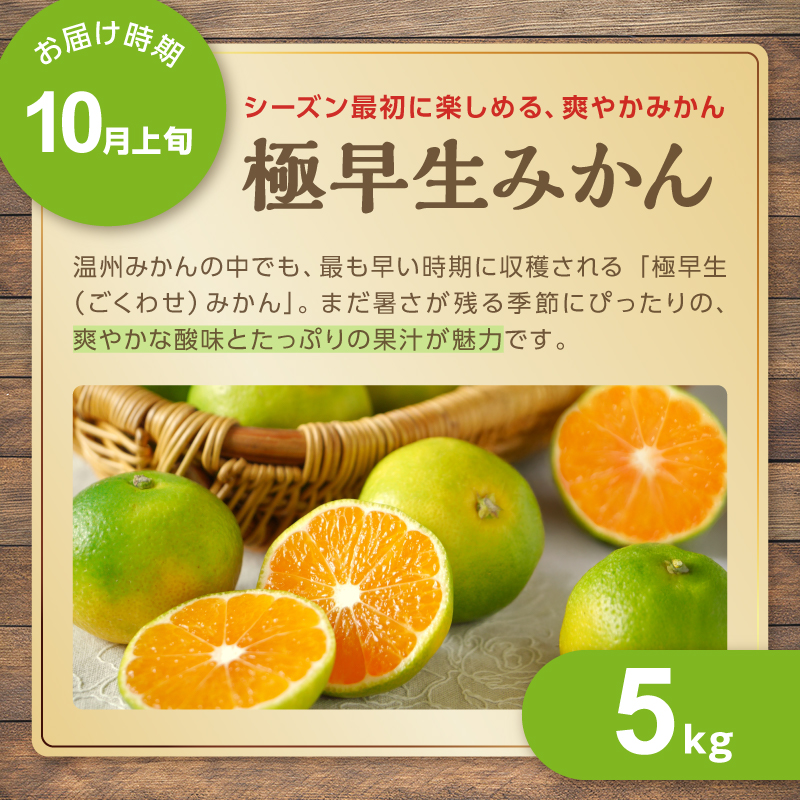 アグリの夢みかん食べくらべ（全5回）【期間限定 数量限定 果物 フルーツ みかん デザート 定期便 定期 5回 三重県 御浜町】