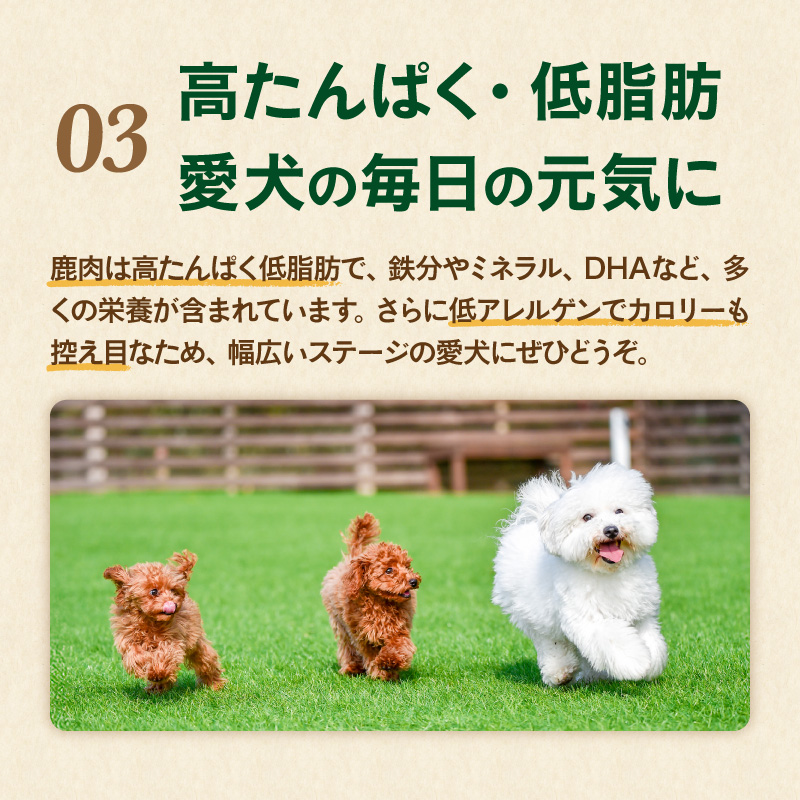 紀州犬のふるさと　紀州の山犬セット【数量限定 犬用食品 ドッグフード 鹿肉 猪肉 国産 ジャーキー ふりかけ おやつ ペット 犬 いぬ フード セット 詰め合わせ 保存料不使用 酸化防止剤不使用 着色料不使用 低脂肪 三重県 御浜町】