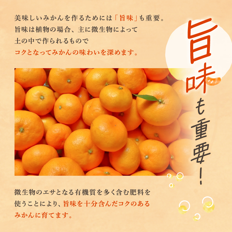 北東農園の温州みかん5キロ【数量限定 期間限定 果物 フルーツ みかん 温州みかん 5kg 三重県 御浜町】