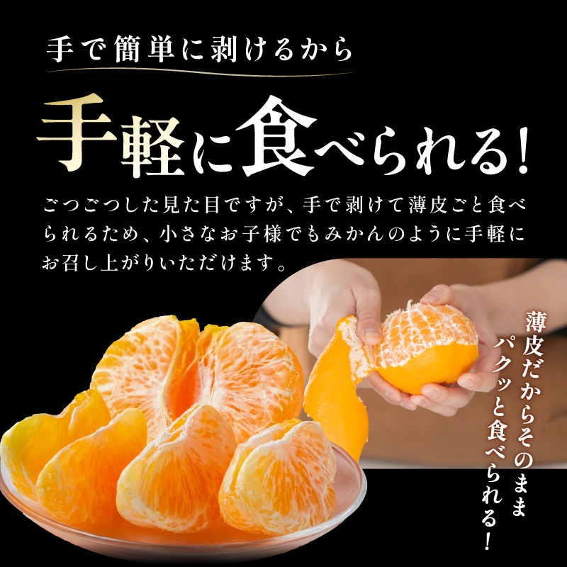 濃密な甘酸っぱさ！ミカファームの不知火4.5キロ【数量限定 果物 フルーツ みかん 不知火 しらぬい デザート 4.5kg 三重県 御浜町】