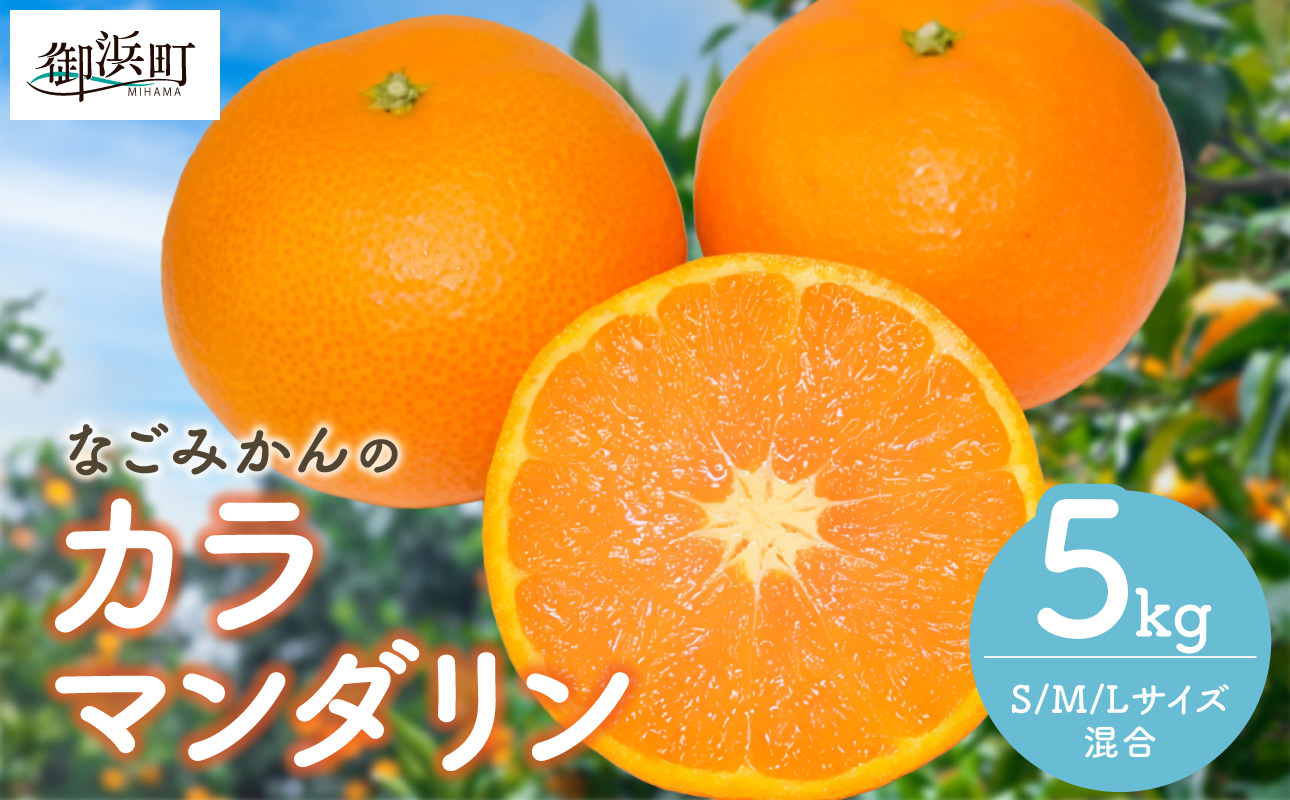 【2027年発送先行予約品】なごみかんのカラマンダリン5キロ【数量限定 果物 フルーツ みかん カラマンダリン デザート 5kg 三重県 御浜町】