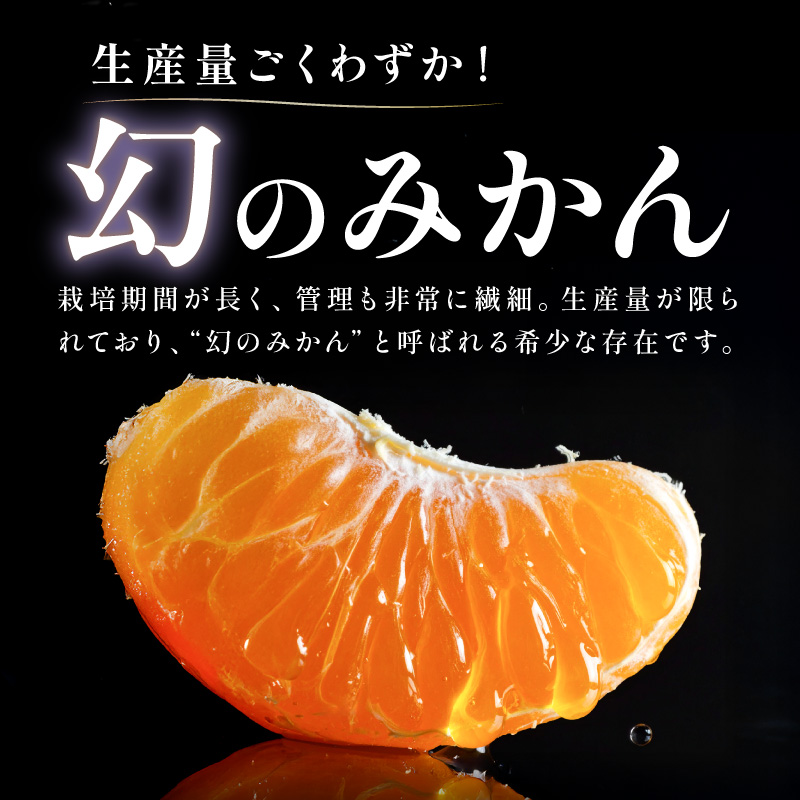 ミカファームの石地温州みかん5キロ【期間限定 数量限定 果物 フルーツ みかん 温州みかん 石地温州みかん デザート 5kg 三重県 御浜町】